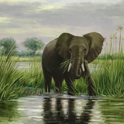 elephant, wildlife, indian elephant, terrestrial animal, nature