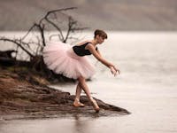 Original reference photo