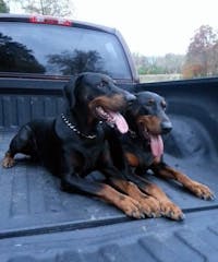 Original reference photo