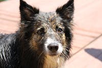 Original reference photo