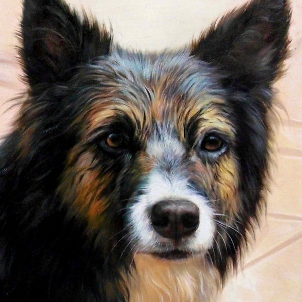 Turn Your Fur Photo Into A Hand Made Artist Portrait Painting Art