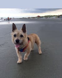 Original reference photo