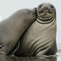 Original reference photo