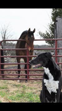 Original reference photo