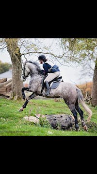 Original reference photo