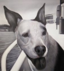 Black and white realistic oil portrait of a dog