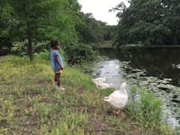 Original reference photo