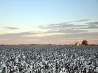 Original reference photo