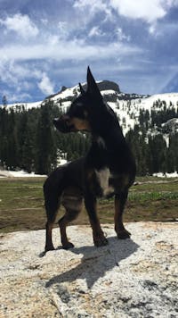 Original reference photo