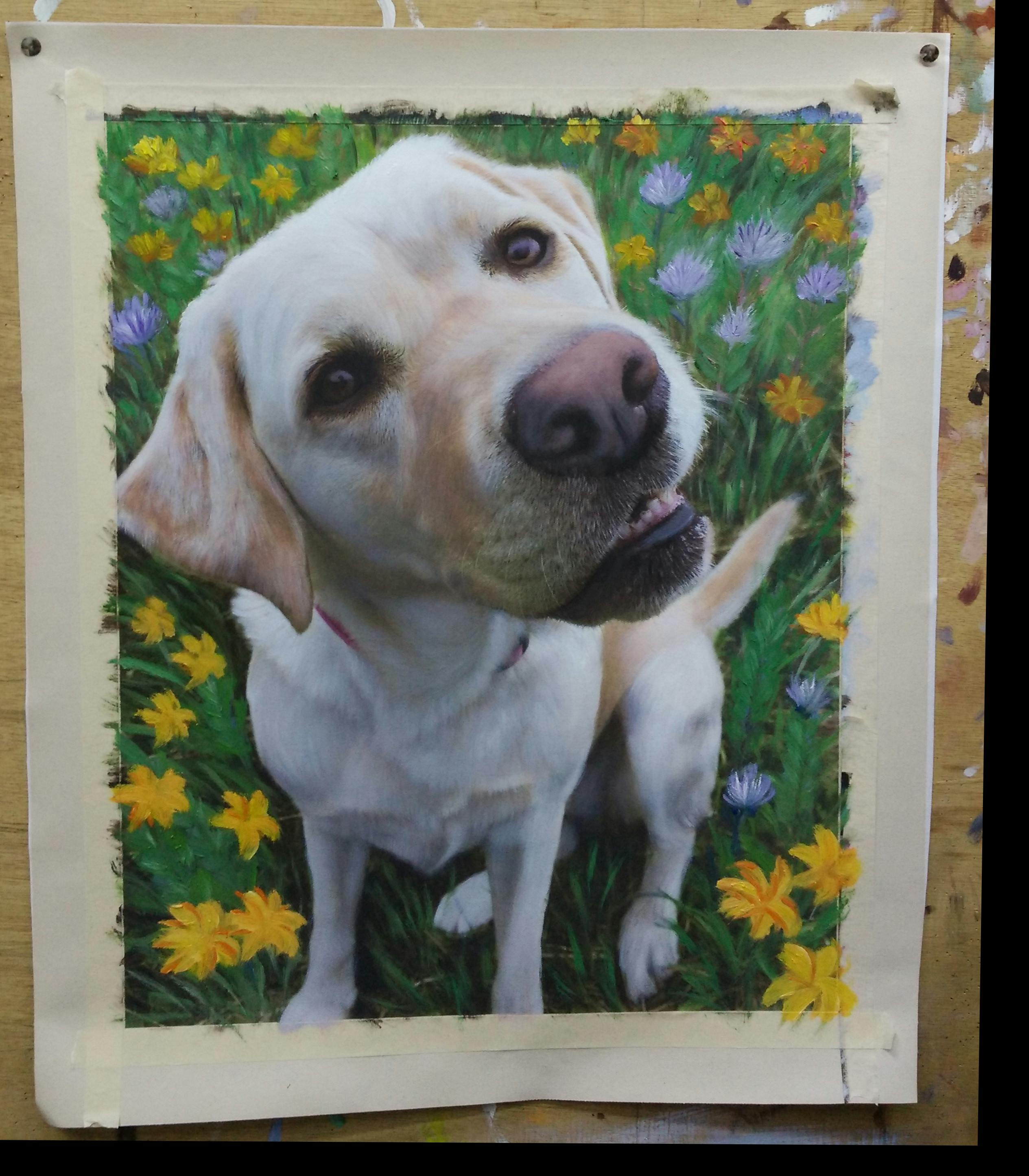 Painted photo of a yellow labrador retriever sitting in a field of flowers