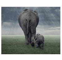 Original reference photo