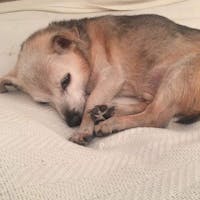 Original reference photo