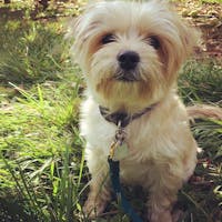 Original reference photo