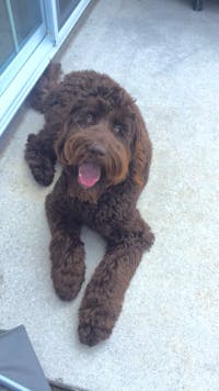 Original reference photo