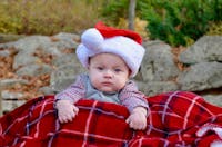 Original reference photo