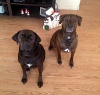 Original reference photo