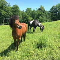 Original reference photo