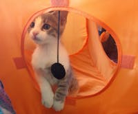 Original reference photo