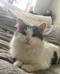 Original reference photo