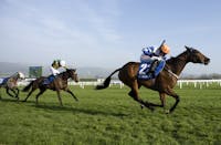 Original reference photo