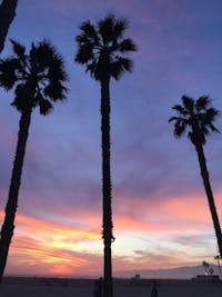 Original reference photo