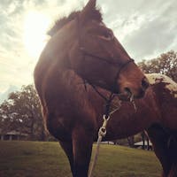 Original reference photo