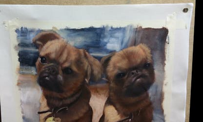 Portrait two pugs