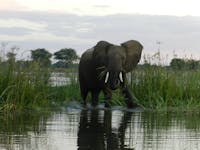 Original reference photo