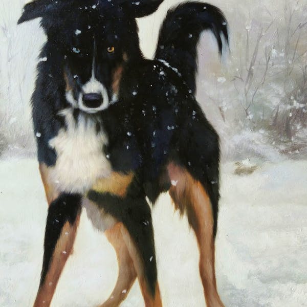 Turn Your Australian Shepherd Photo Into A Hand Made Artist