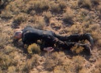 Original reference photo