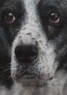 Colored pencil drawing of a dog