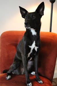 Original reference photo