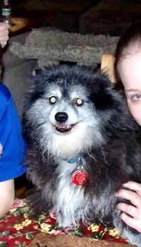 Original reference photo