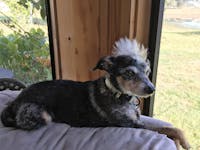 Original reference photo