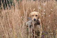 Original reference photo