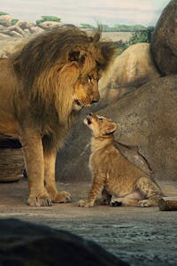 Original reference photo