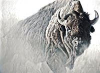 Original reference photo