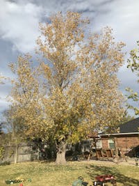 Original reference photo