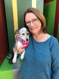 Original reference photo