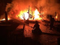 Original reference photo