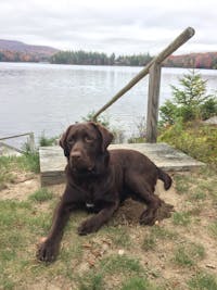 Original reference photo