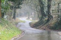 Original reference photo