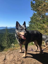 Original reference photo