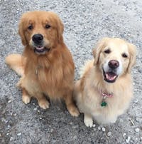 Original reference photo