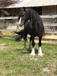 Original reference photo