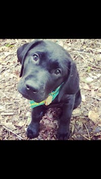 Original reference photo