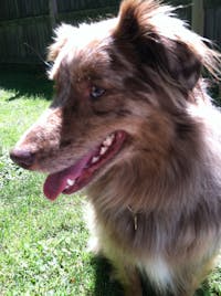 Original reference photo