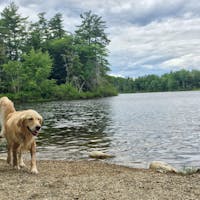 Original reference photo