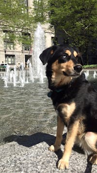 Original reference photo