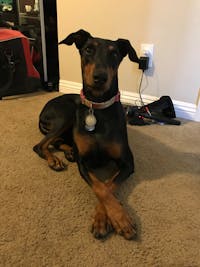 Original reference photo